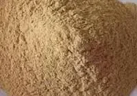 sawdust-04-250x250